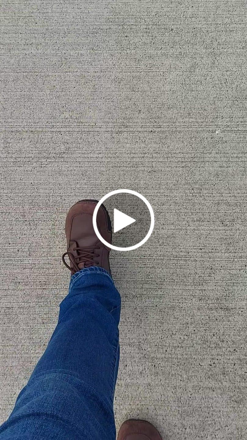 Customer video review of Terra I  - 10th Anniversary Edition