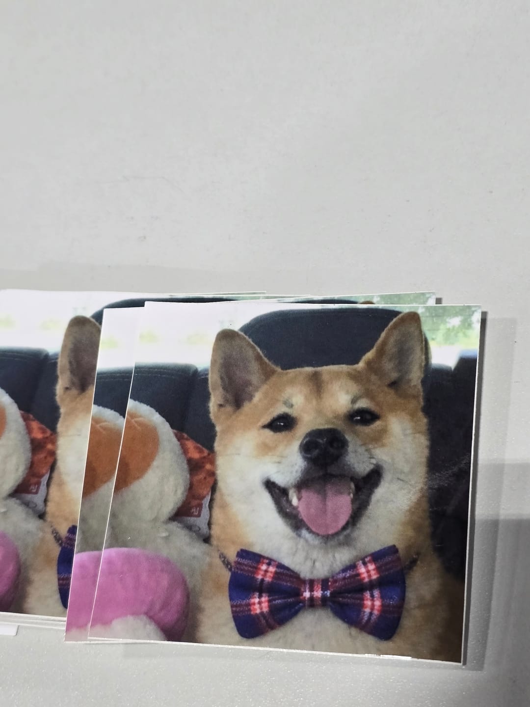 Customer photo review of Custom Sticker Sale - 3"