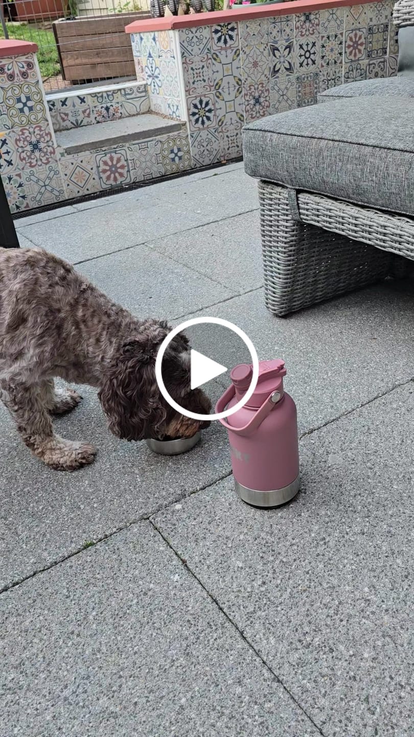 Customer video review of Pink Lane 3-in-1 – Barkt Bottle & Bag