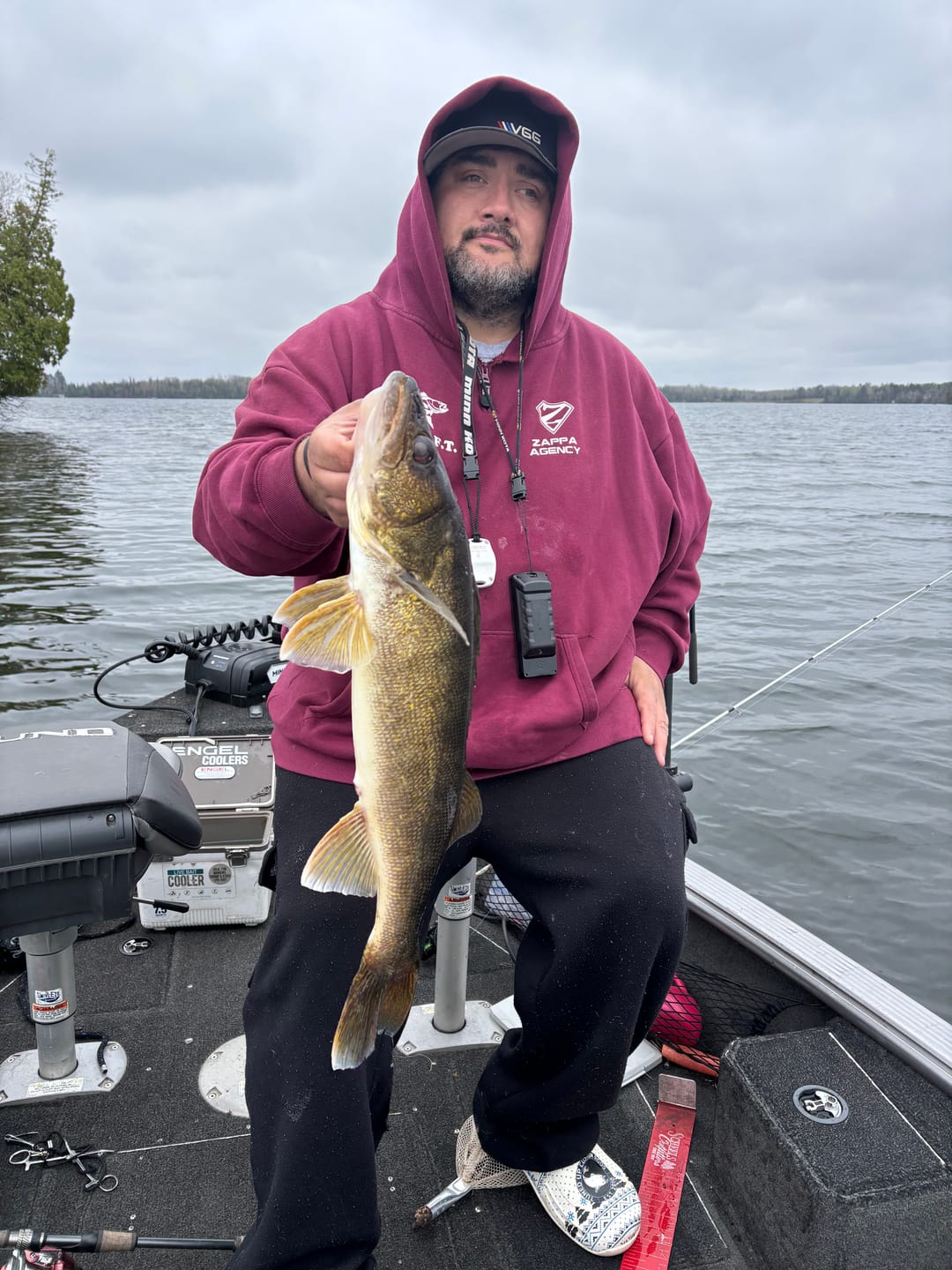 Customer photo review of 200% Sensitive Tungsten Ball Jig Heads Damiki Rig Jig Heads | No Chip Black | 5 Pack