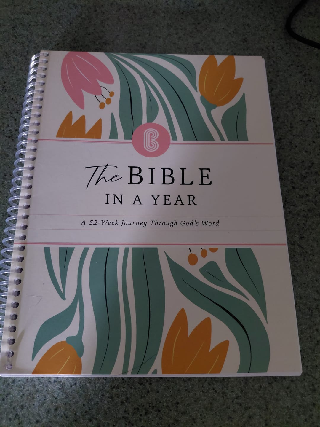 Customer photo review of The Bible In A Year: A 52-Week Journey Through God's Word (Softcover)