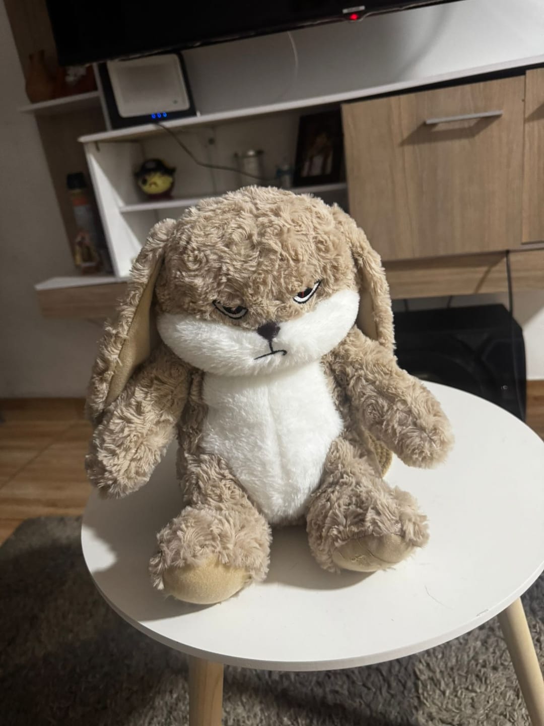 Customer photo review of Peluche tierno y enojado