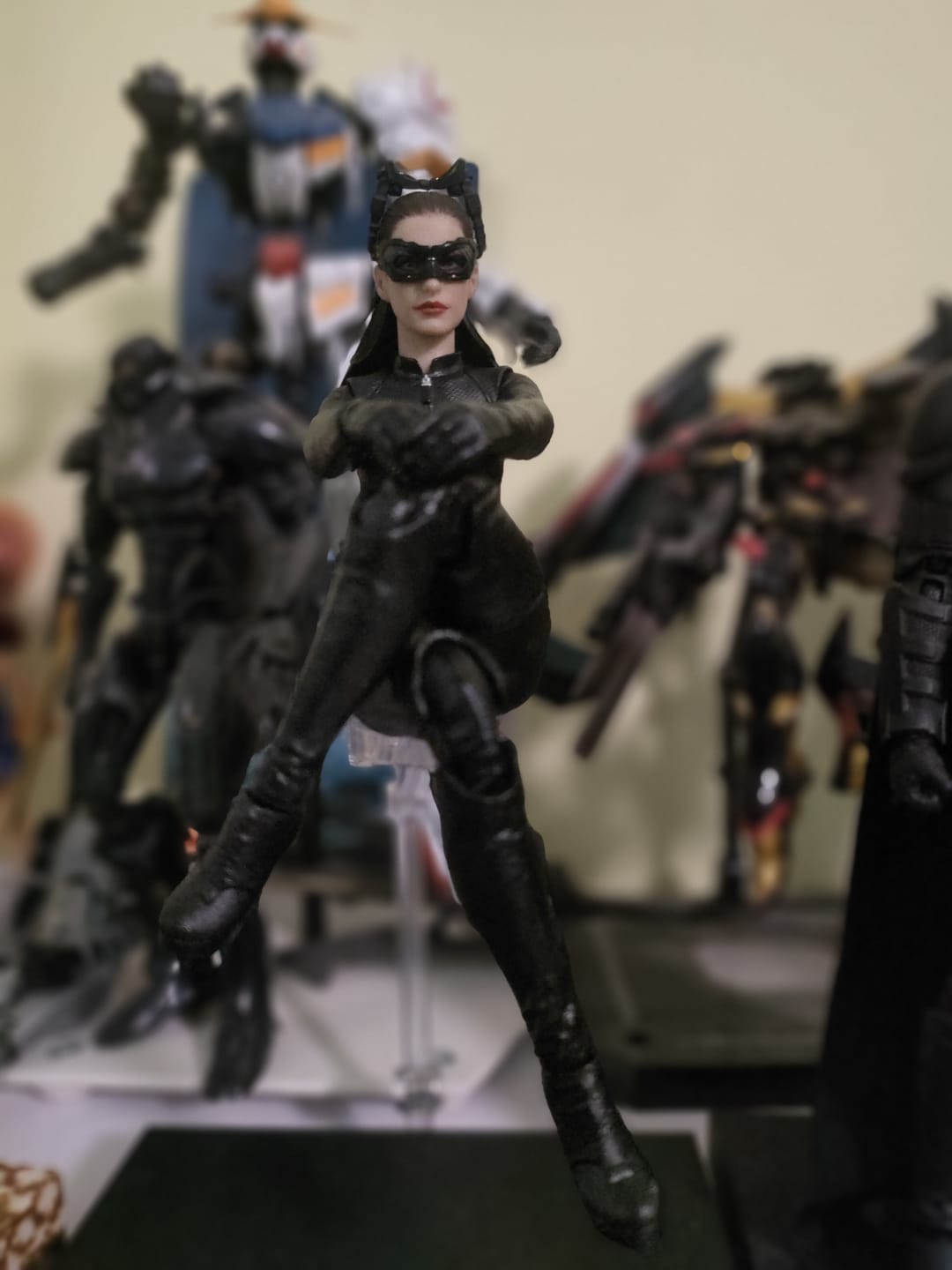 Customer photo review of The Dark Knight Rises - Catwoman 1/12 Scale Figure
