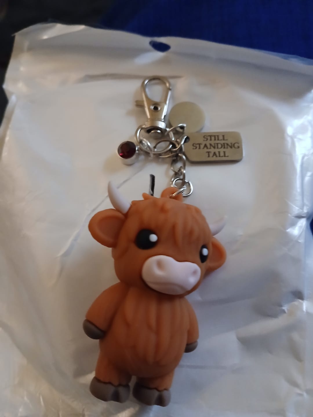 Customer photo review of 🐮A Little Highland Cow For You Keychain: Your Daily Reminder of Quiet Strength