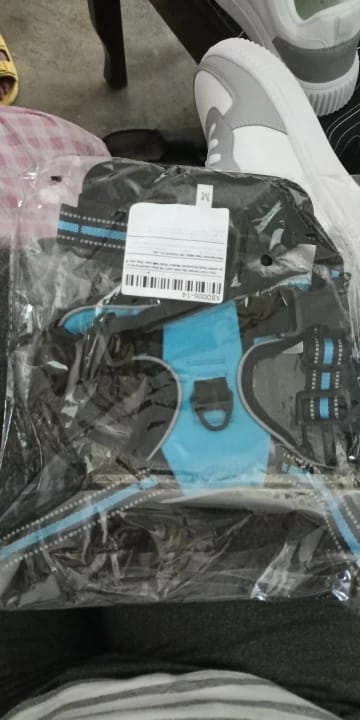 Customer photo review of Dog Collars Harness Big Vests Leash Pet Shop Everything for Dogs Leather Puppy Accessories Medium Small Set