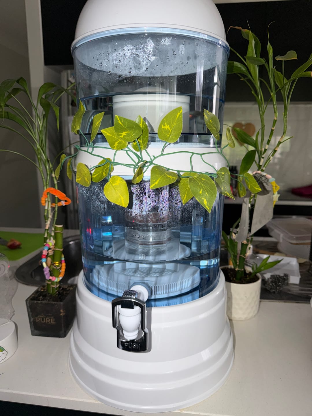 Customer photo review of HolyH₂O™ Trinity | Fluoride Water Filter