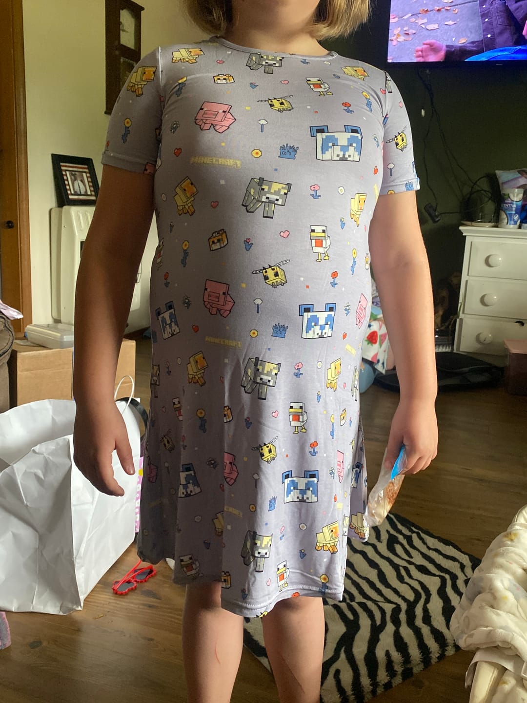 Customer photo review of Minecraft Pixel Pals Bamboo Girls' Short Sleeve Dress