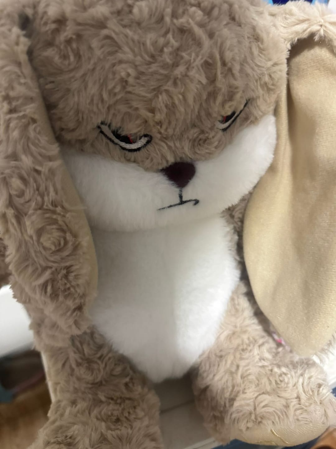 Customer photo review of Peluche tierno y enojado