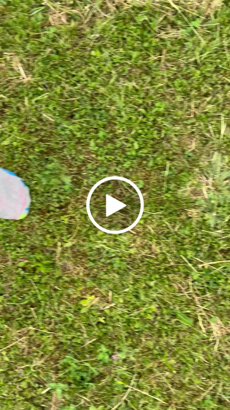 Customer video review of Smart II - Barfußschuhe