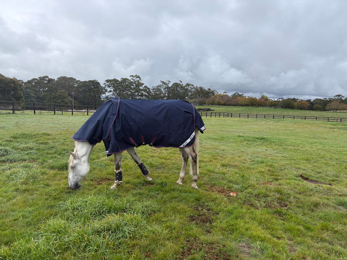 Customer photo review of LE Boxter Turnout Ripstop 0g with Fleece