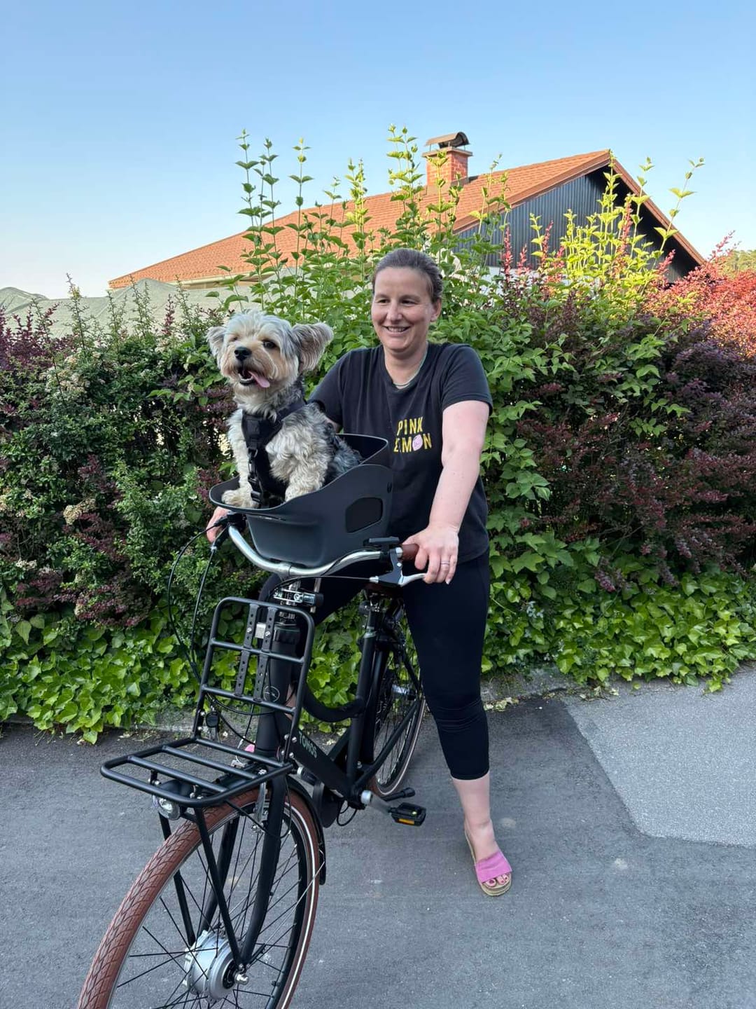 Customer photo review of Kvisp Dog Bike Carrier (Refurbished)