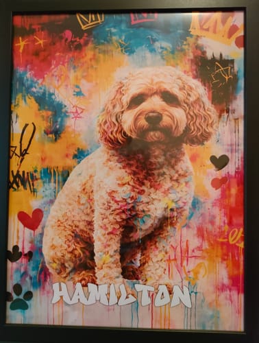 Customer photo review of Personalised Poster With Dog or Cat - Graffiti