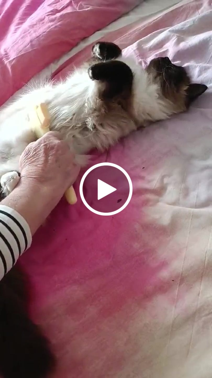 Customer video review of Pälskam för katter & hundar