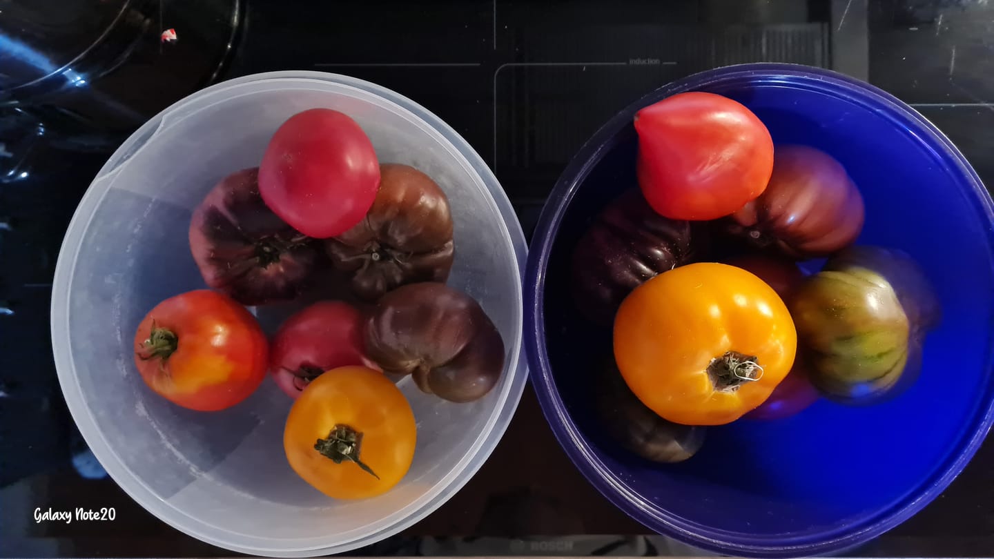 Customer photo review of Tomaten Mix von Julian Box 3kg Aktionswoche %