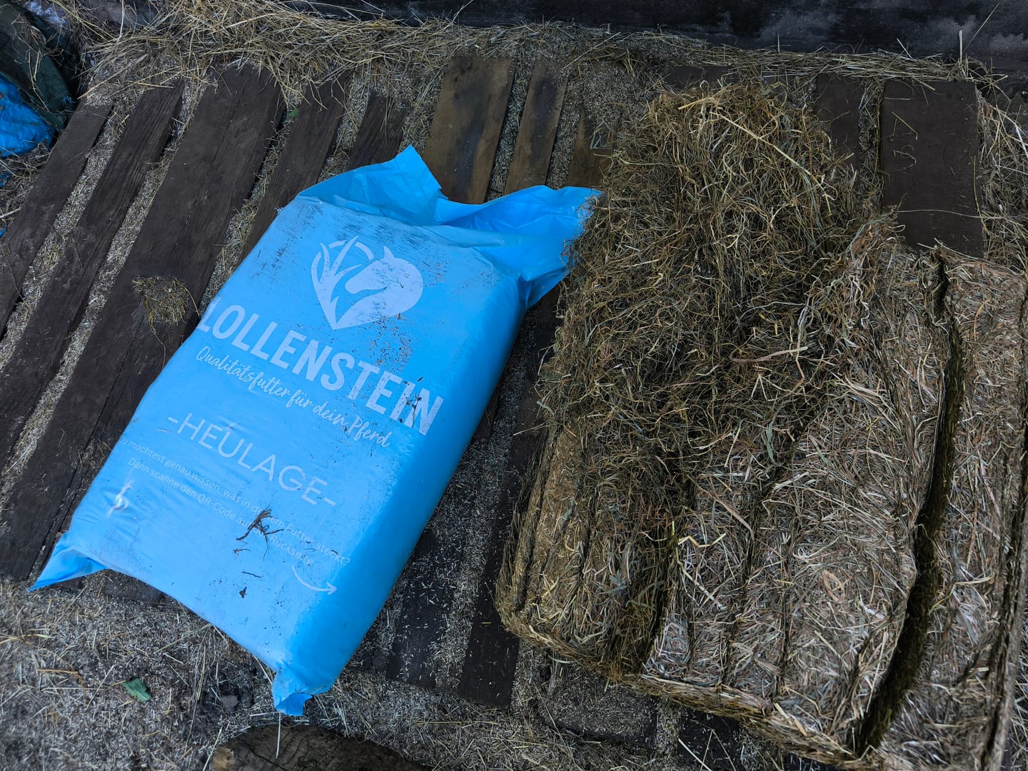 Customer photo review of Lollenstein Wiesenheulage 2. Schnitt - Für deinen Oldie