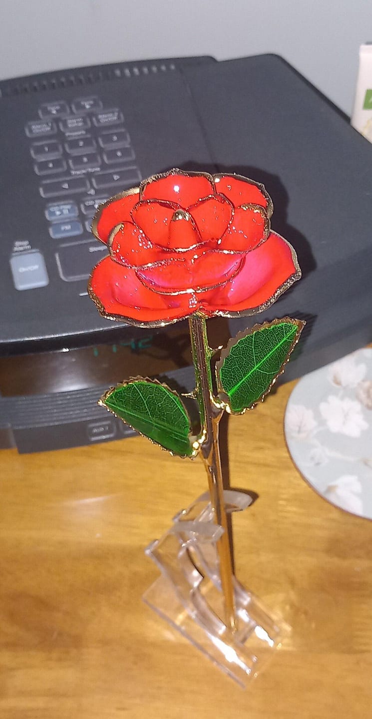 Customer photo review of (*Spring Sale*) Eternal 24K Gold Dipped Rose With Gift Box