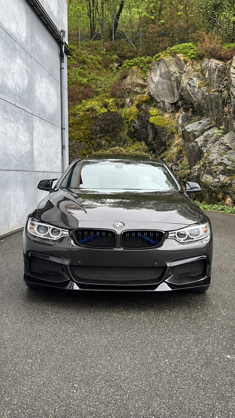 Customer photo review of BMW F32 & F36 Frontleppe "aggressiv"