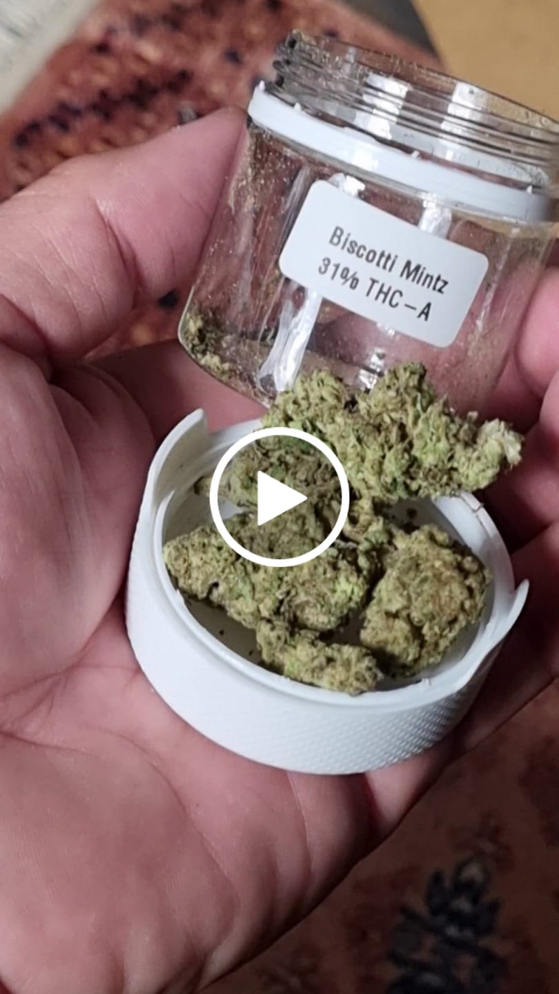 Customer video review of Biscotti Mintz 31% THCA