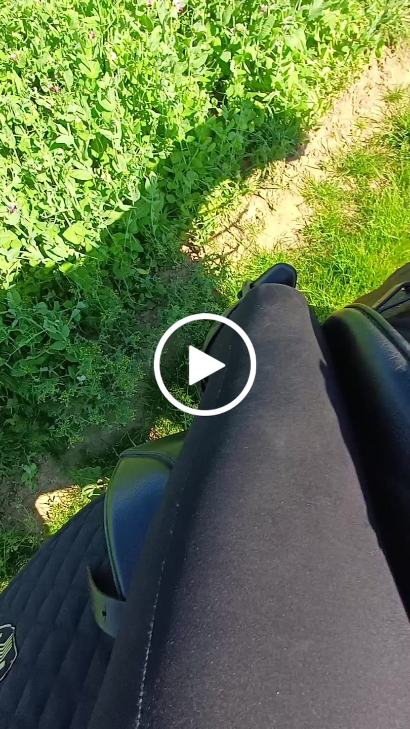 Customer video review of TORPOL® Schabracke EVO Magnetfeld Nelson™ Spring/Dressur