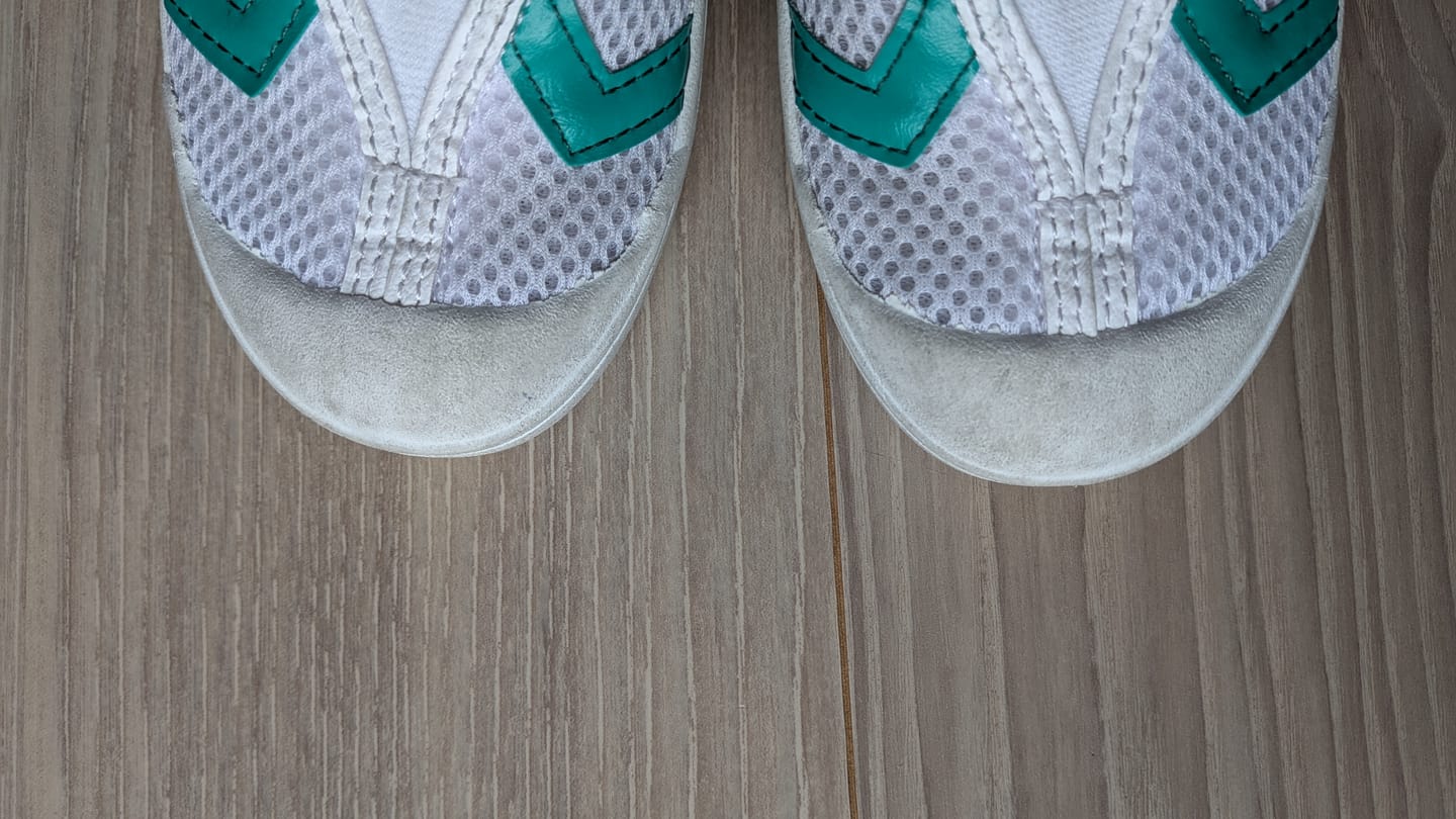 Customer photo review of ズックリーンネット(2枚1セット)