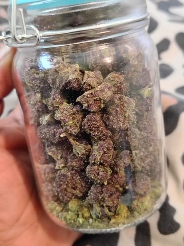 Granddaddy Purple - Minis - 28 Grams - Indica photo review