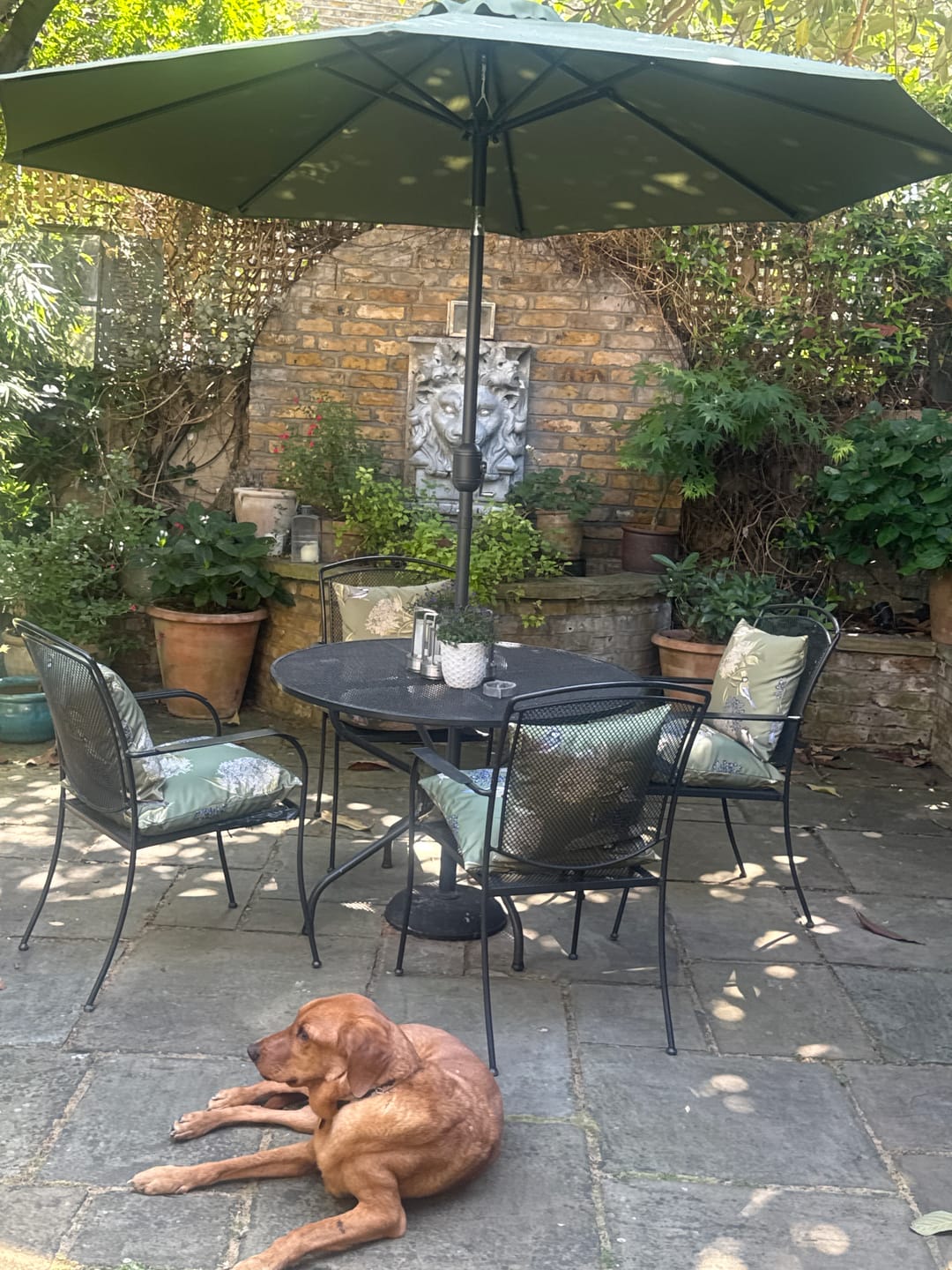 Customer photo review of Outdoor Garden Waterproof Cushion - Bird on Elderflower