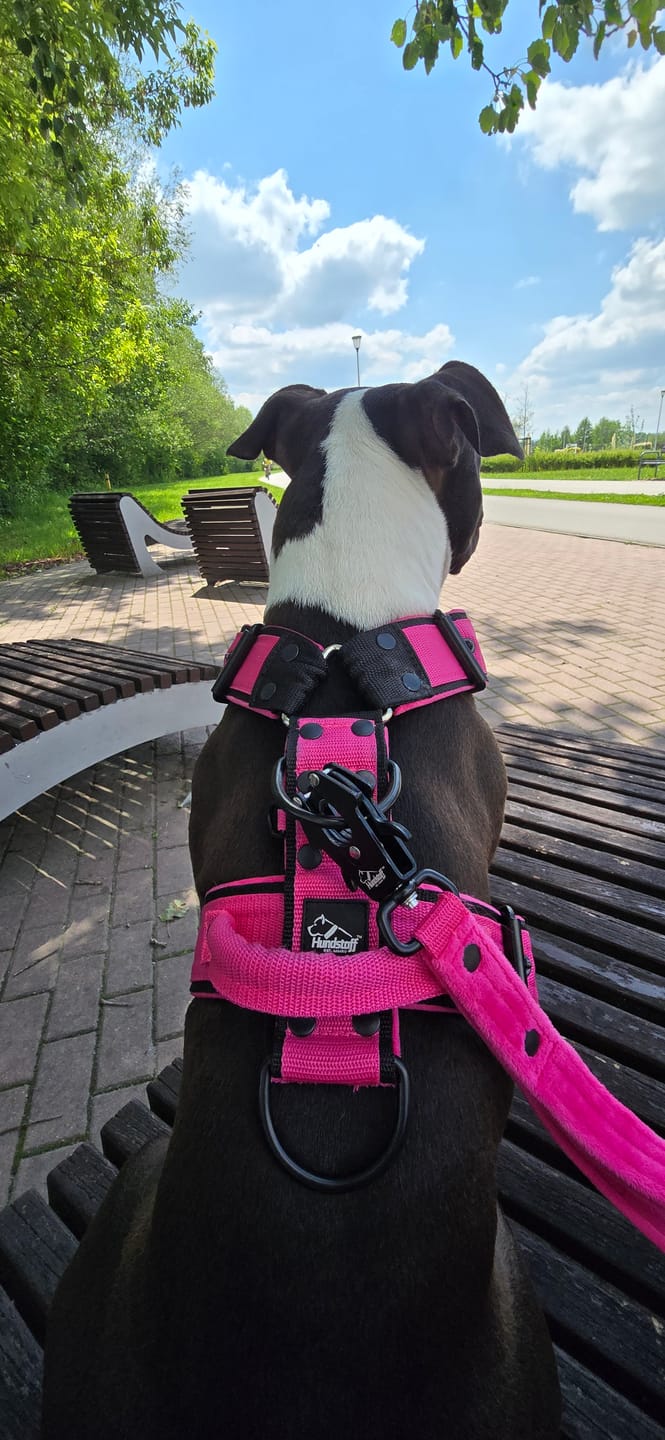 Customer photo review of Szelki z raczką typu guard - Easy Walk Black Editon Rózowa