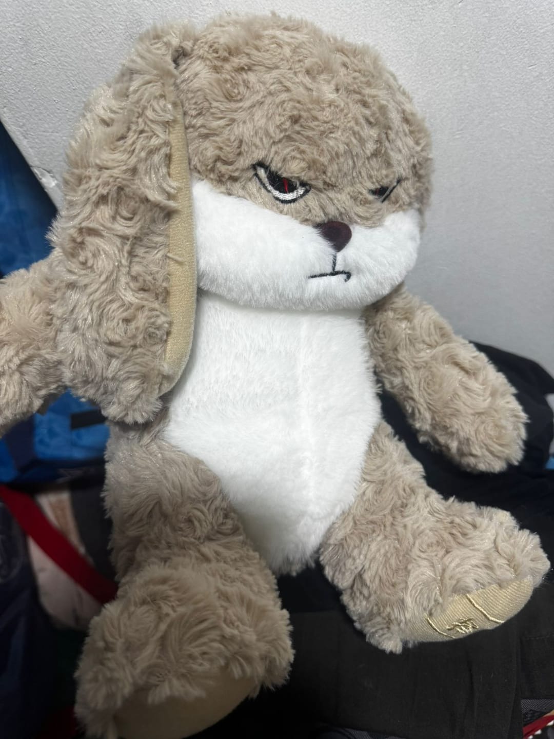 Customer photo review of Peluche tierno y enojado