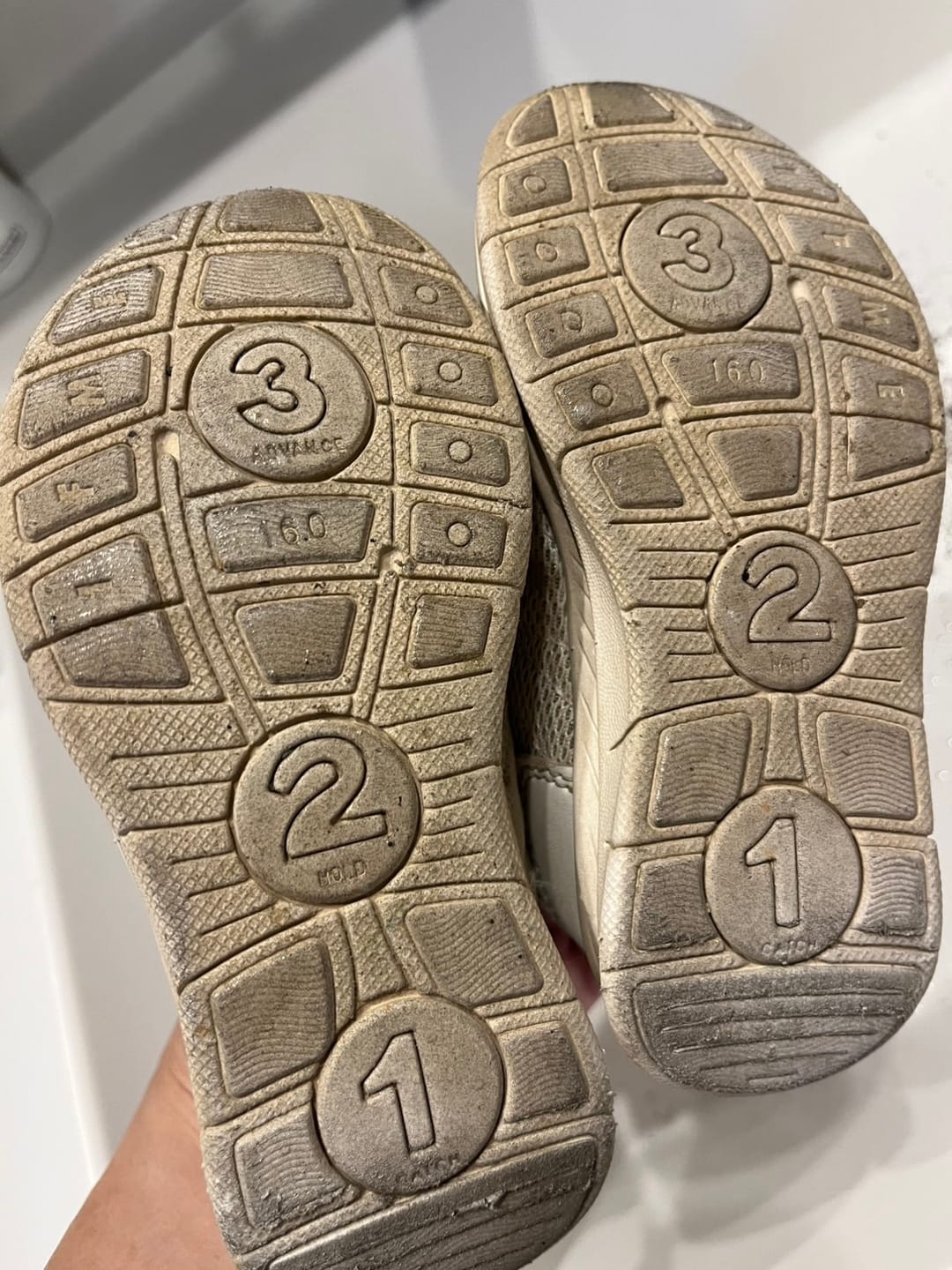 Customer photo review of ズックリーンネット(2枚1セット）正規品
