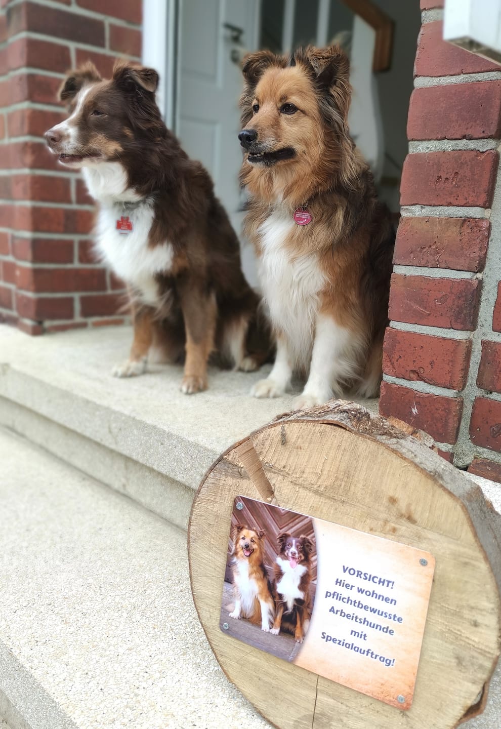 Customer photo review of Hunde-Türschild personalisiert mit Foto & Text (UV- und wetterfest)