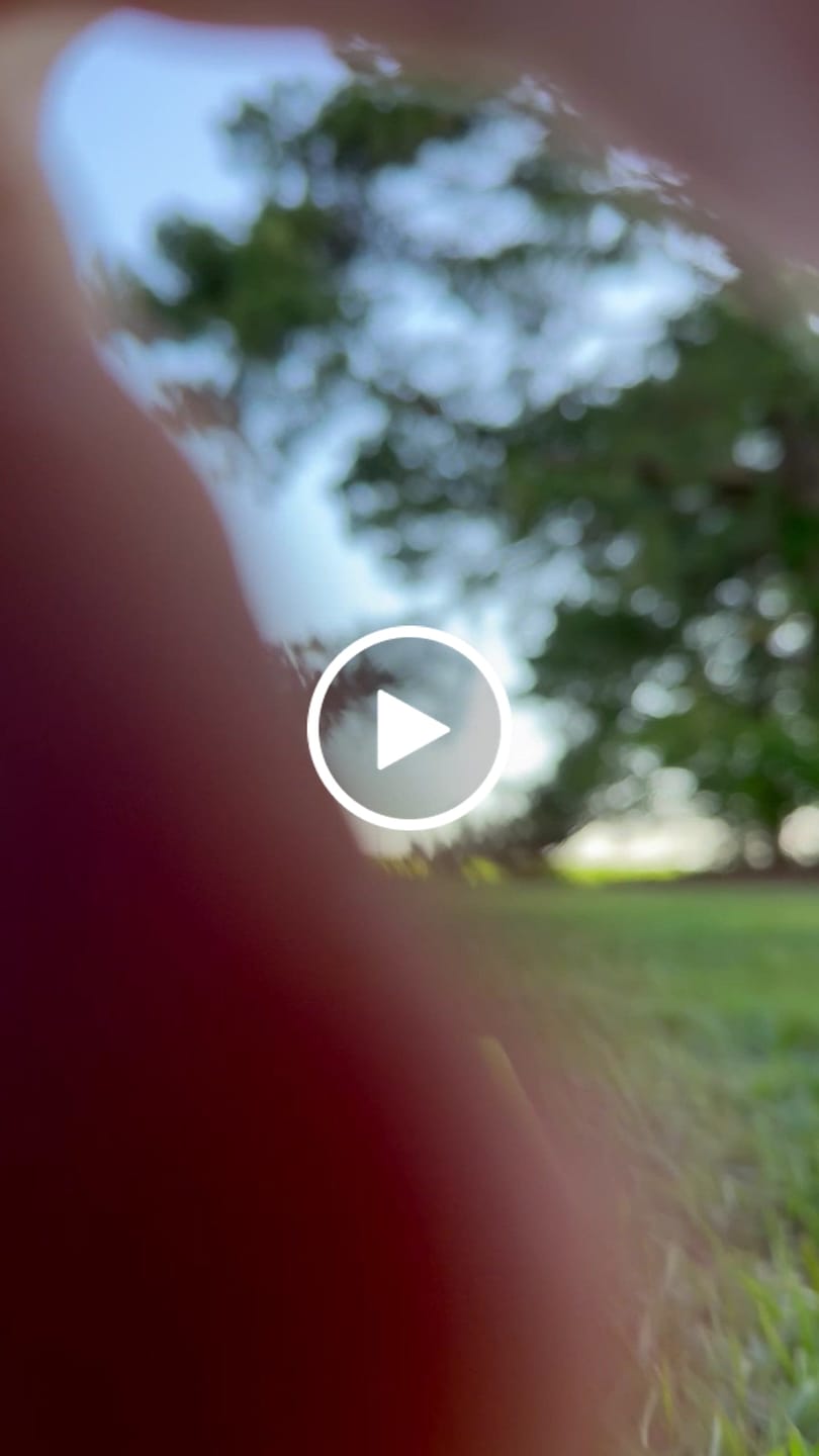 Customer video review of Divot Board — Instant Feedback