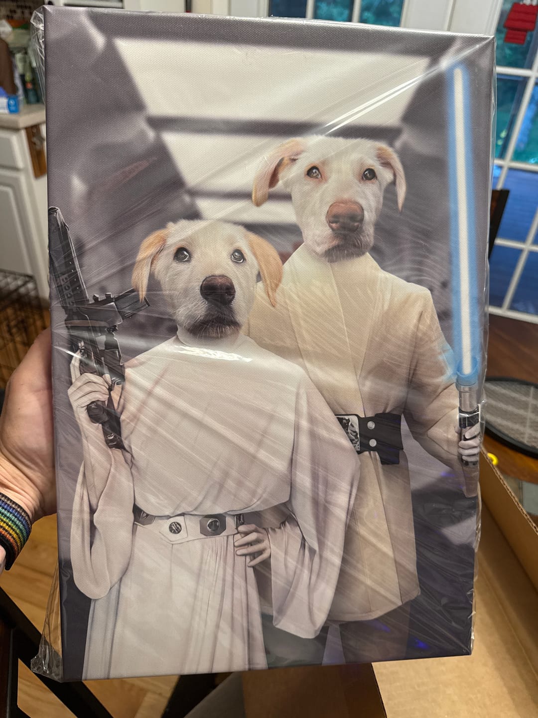 Customer photo review of The Space Siblings - Custom Pet Canvas