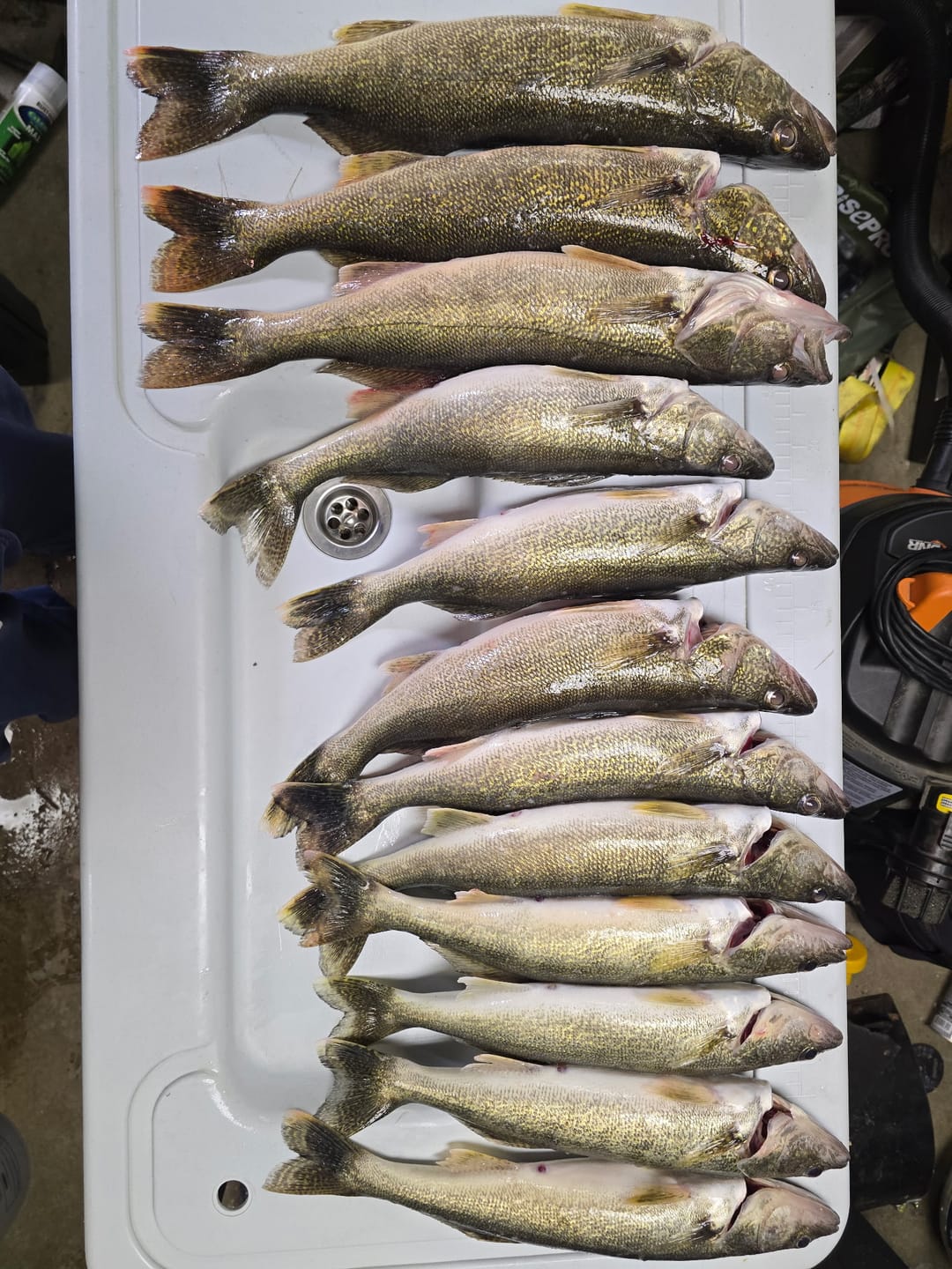 Customer photo review of Blue Wave or Moss Camo 300-2000 Yard Spools