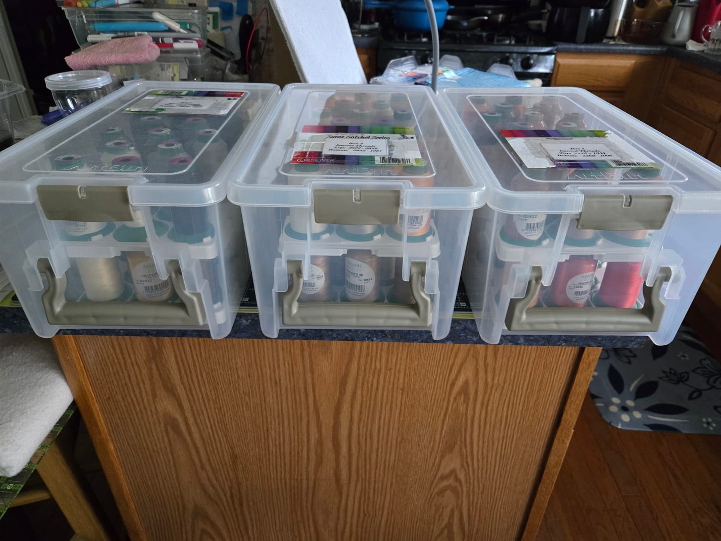 Customer photo review of Semi-Satchel Thread Box w/ Trays