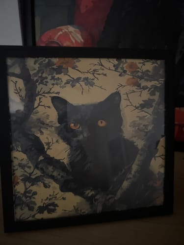 Customer photo review of Whiskers & Blooms