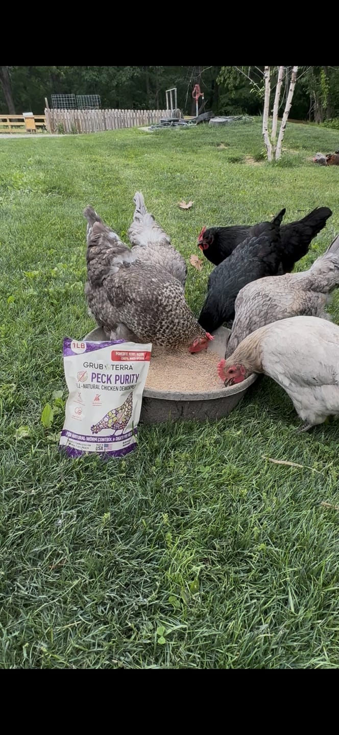 Customer photo review of Peck Purity Daily Digestive Defense for Flock Strength