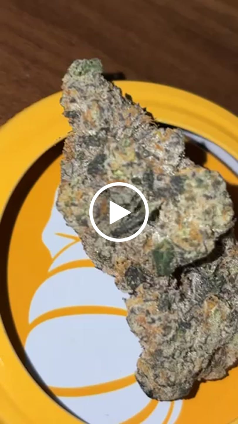 Customer video review of Toad Venom