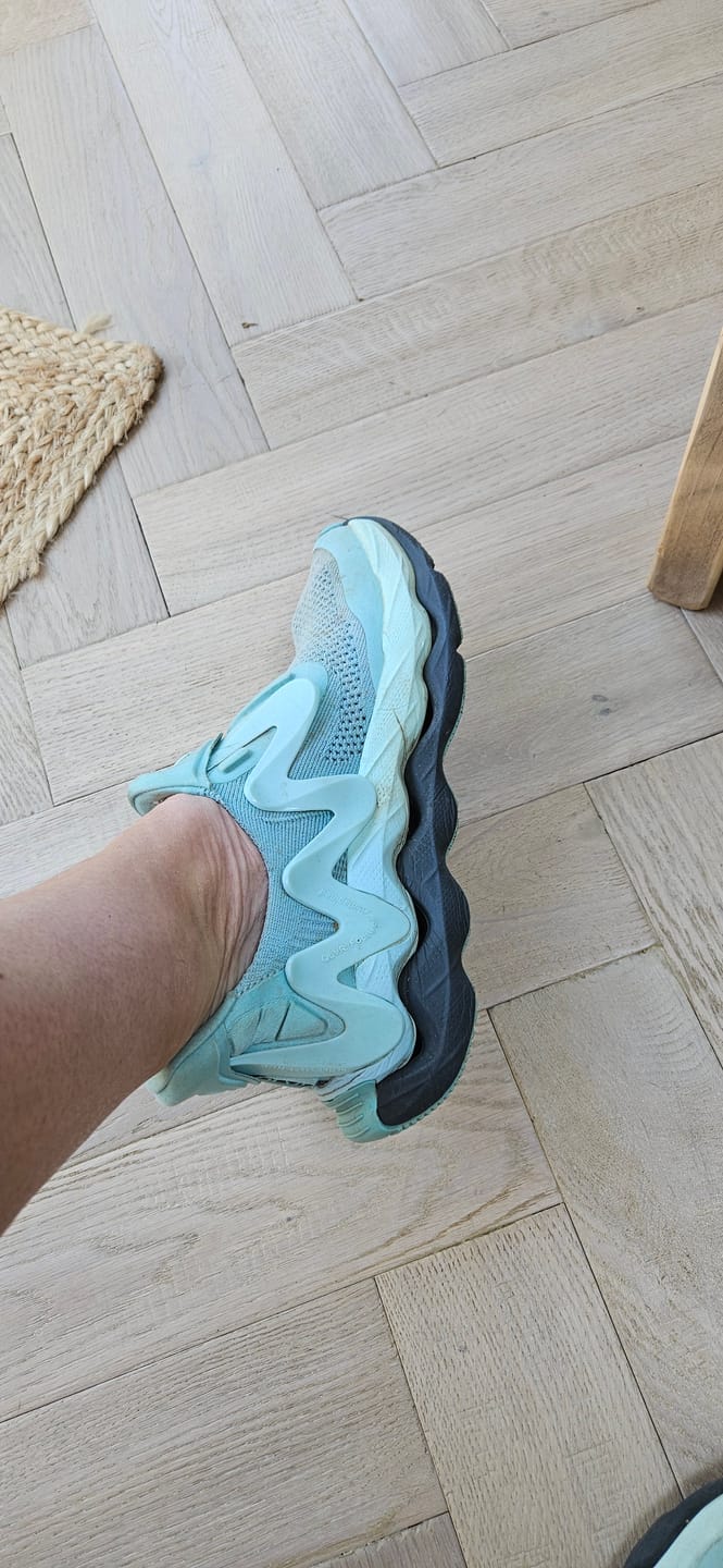 Customer photo review of The ENDVR