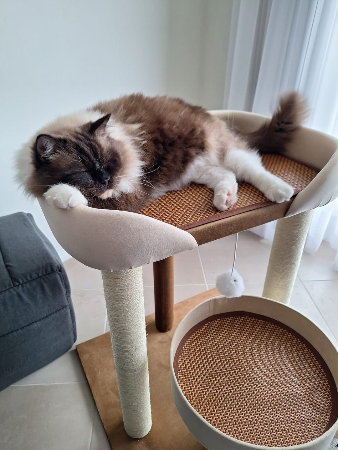 Customer photo review of Japanese-Style Double-Level Cat Tree Cat Sofa - 90901B, Perfect for Window-Side Lounging