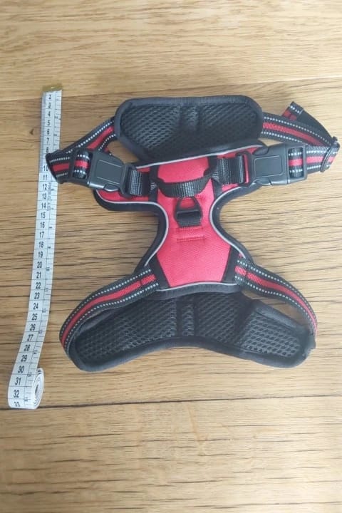 Customer photo review of Dog Collars Harness Big Vests Leash Pet Shop Everything for Dogs Leather Puppy Accessories Medium Small Set