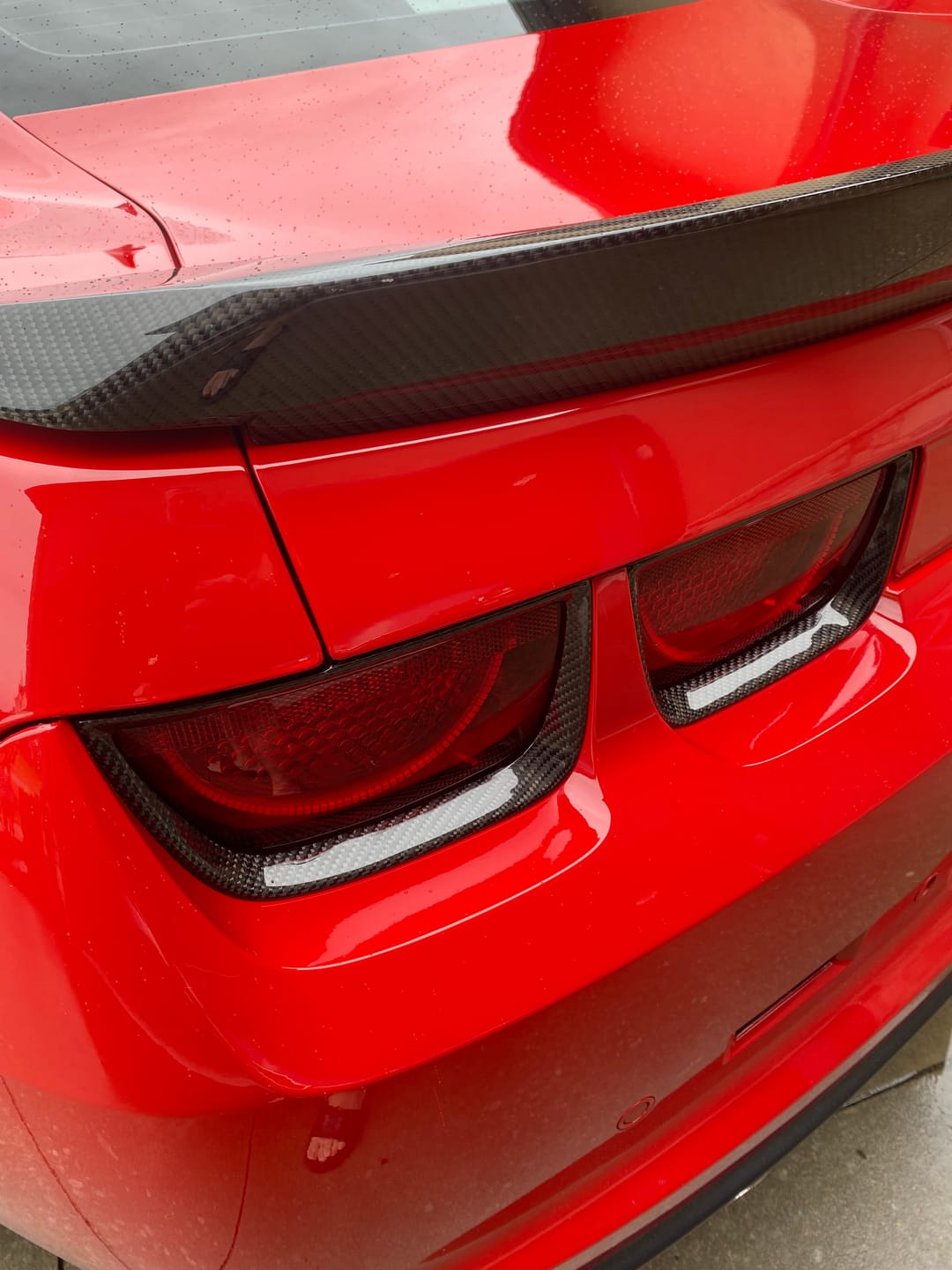 Customer photo review of Carbon Fiber Tail Light Bezel Cover Replacement For Chevrolet Camaro 2010-2013 5th generation