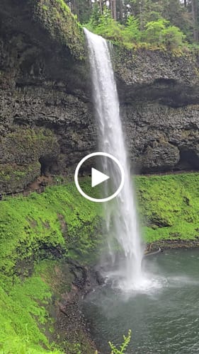 Customer video review of Go Wild T-shirt