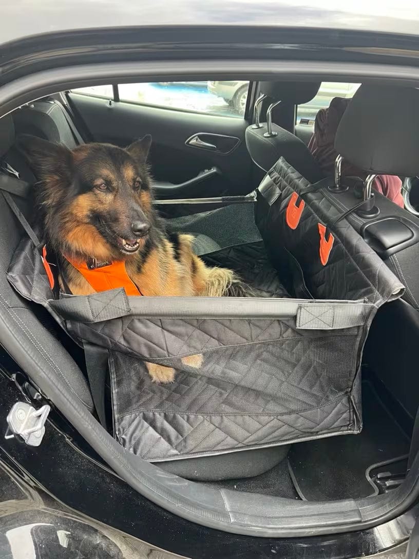 Customer photo review of WanderPup Comfort Dog Travel Seat - Large