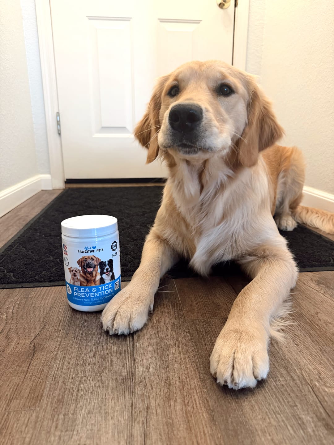 Customer photo review of Flea and Tick Prevention for Dogs – 120 Soft Chews