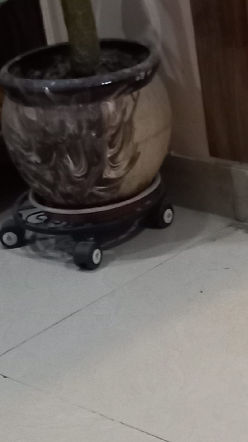 Customer photo review of TryGreen Luna Wheel Rolling Plant Stand for Planters