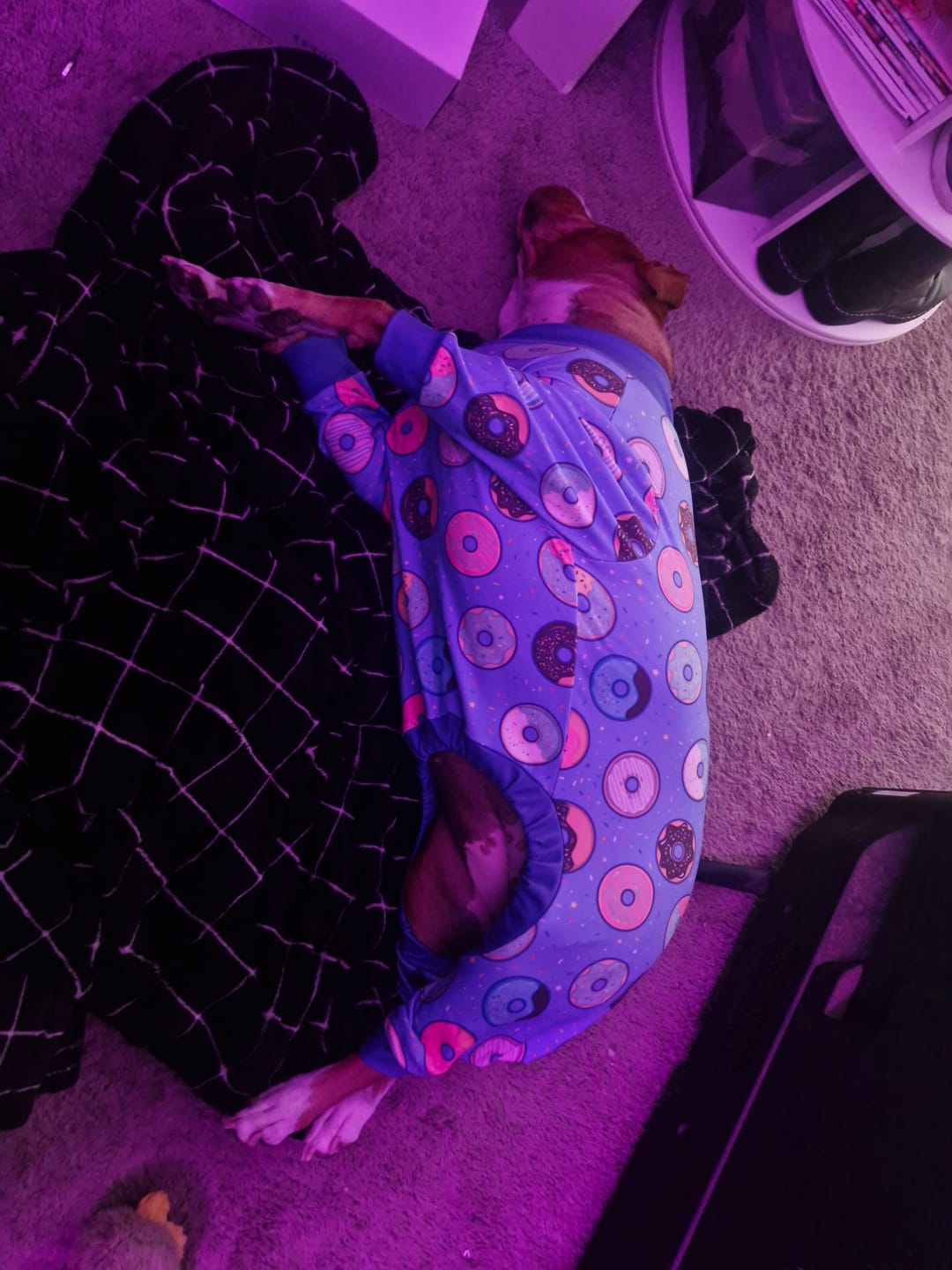 Customer photo review of Dog Pajama - Donuts