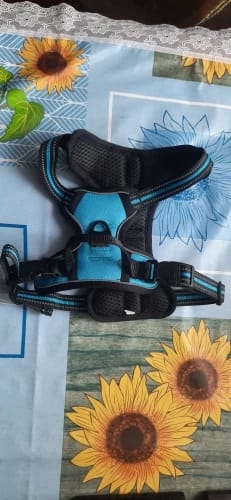 Customer photo review of Dog Collars Harness Big Vests Leash Pet Shop Everything for Dogs Leather Puppy Accessories Medium Small Set