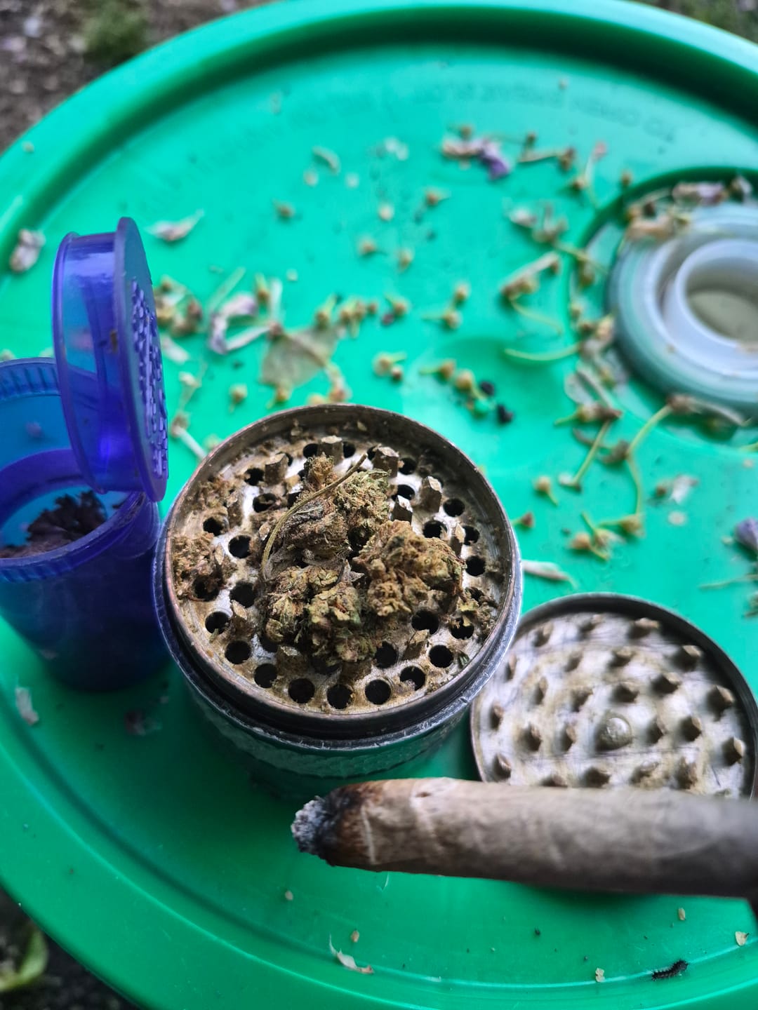 Customer photo review of Biscotti Cake - 28 Grams - Hybrid