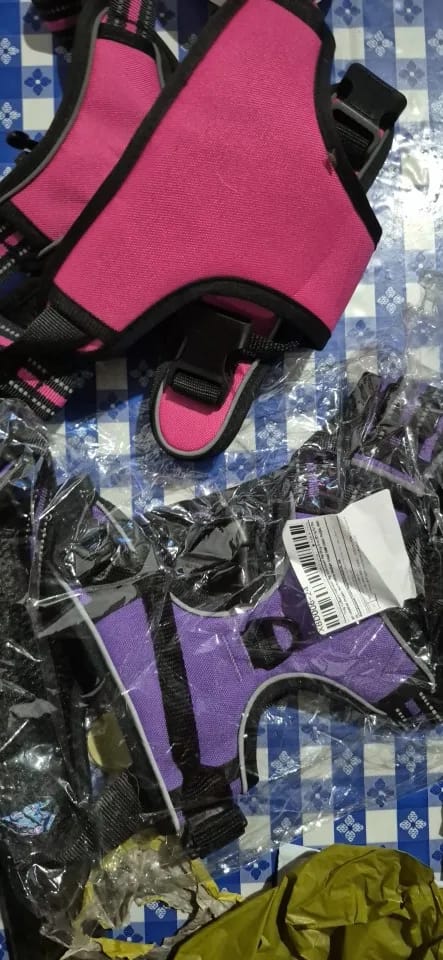 Customer photo review of Dog Collars Harness Big Vests Leash Pet Shop Everything for Dogs Leather Puppy Accessories Medium Small Set