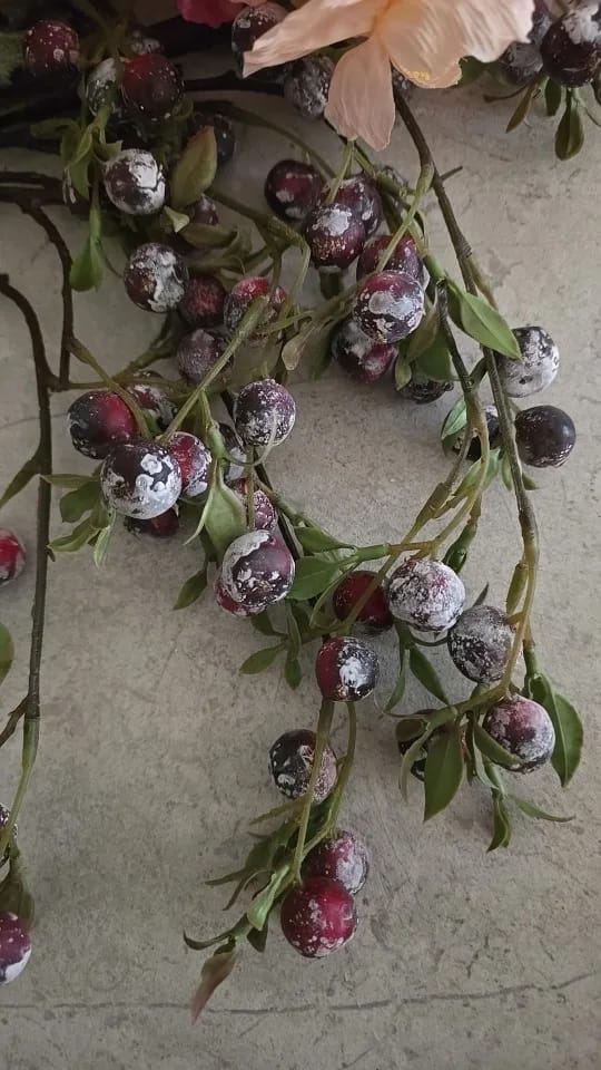 Customer photo review of gardening fruit ornaments, long branches with frost, small apples fun plants, Christmas festive flower arrangement customization